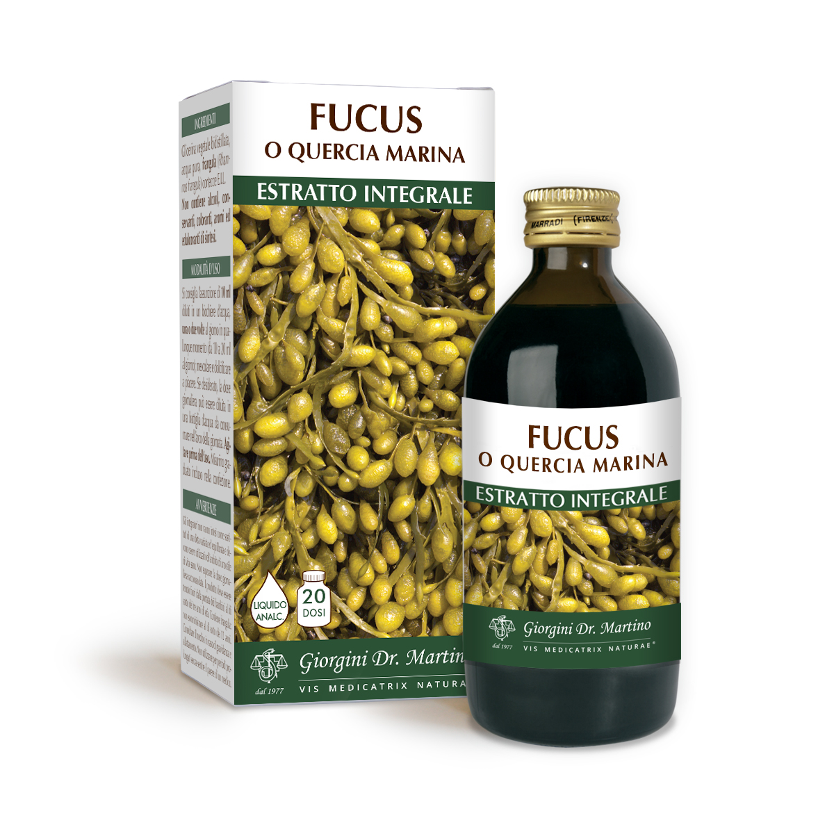 FUCUS o QUERCIA MARINA Estratto integrale Liquido analcoolico FUCUS o QUERCIA MARINA Estratto integrale Liquido analcoolico