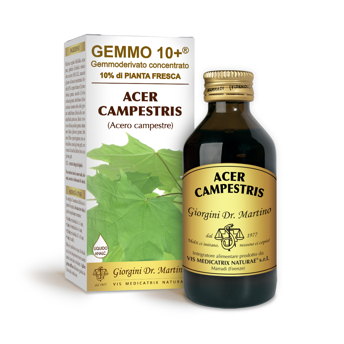 ACERO CAMPESTRE G10+ (Acer campestris) Liquido analcoolico main product photo