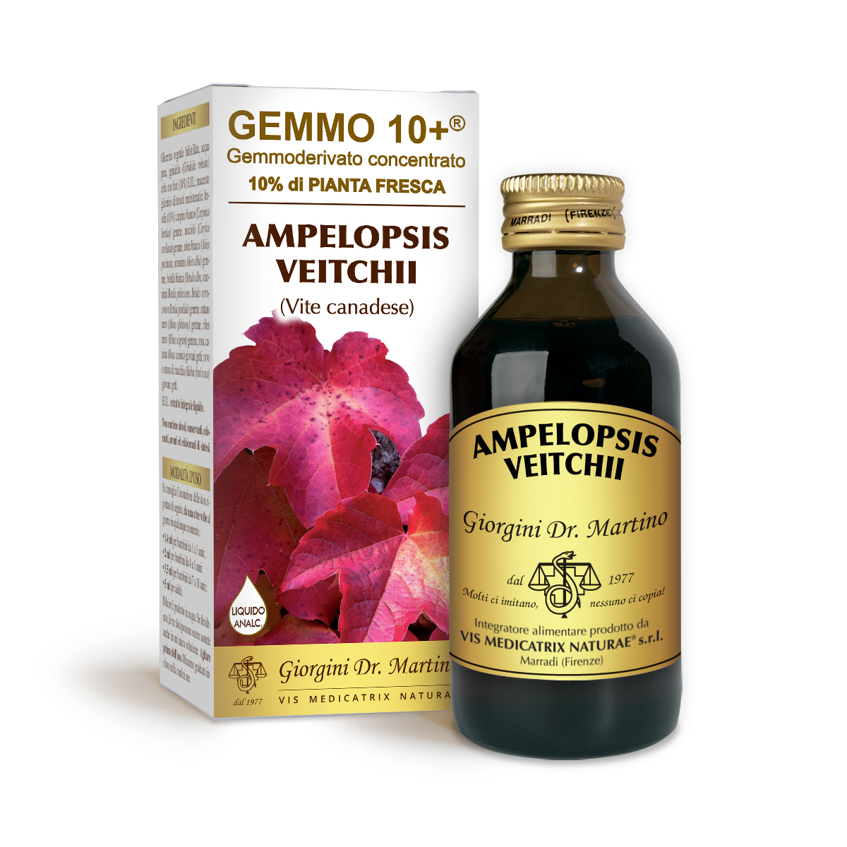 VITE CANADESE G10+ (Ampelopsis veitchii) Liquido analcoolico main product photo
