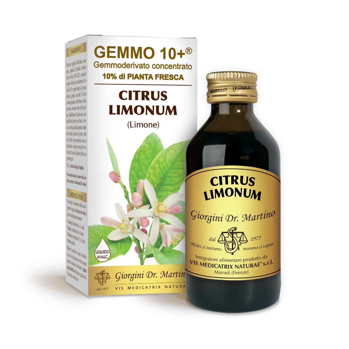 G10+ZITRONE (Citrus limonum) Alkoholfreie Flüssigkeit