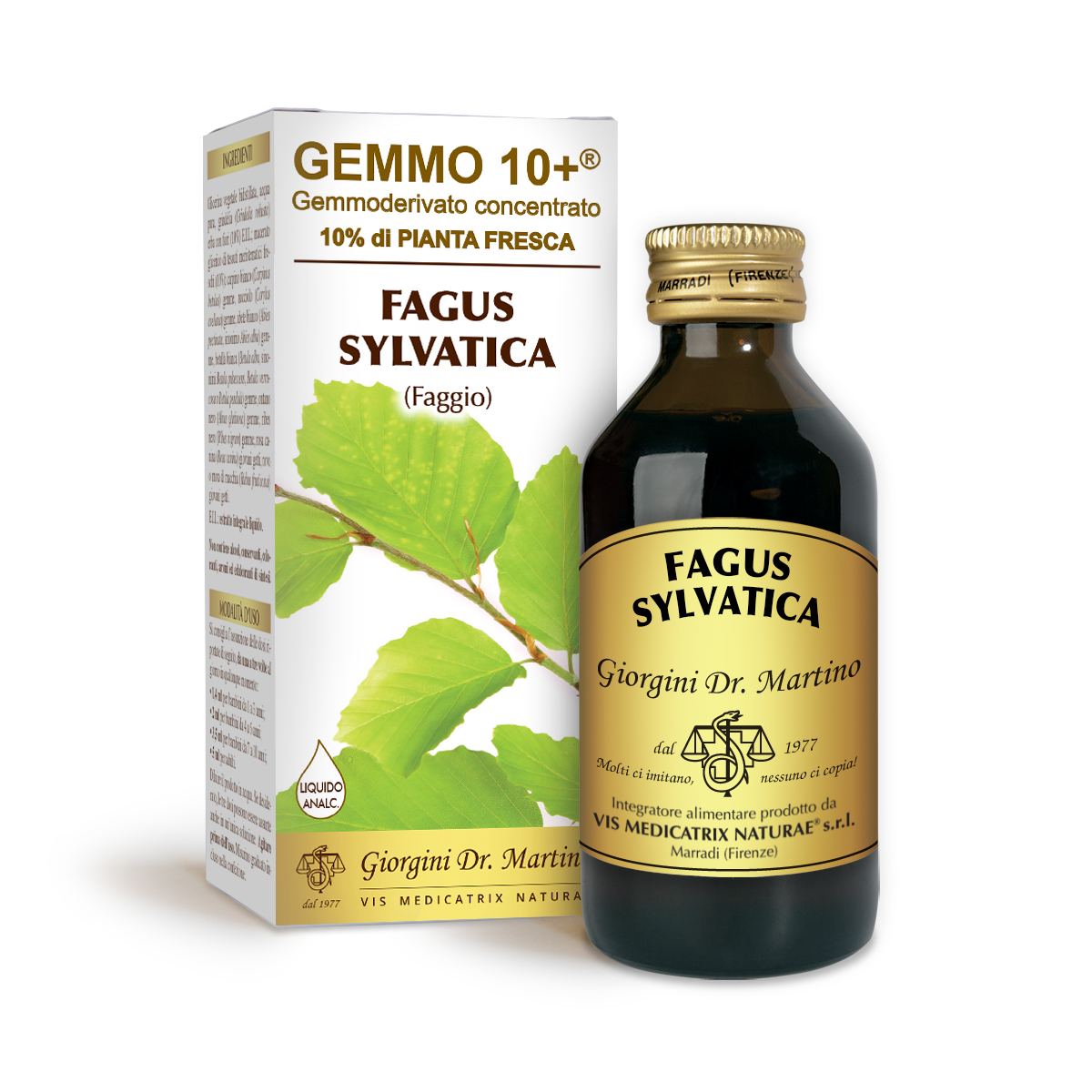 G10+ BEECH (Fagus sylvatica) Alcohol-free liquid