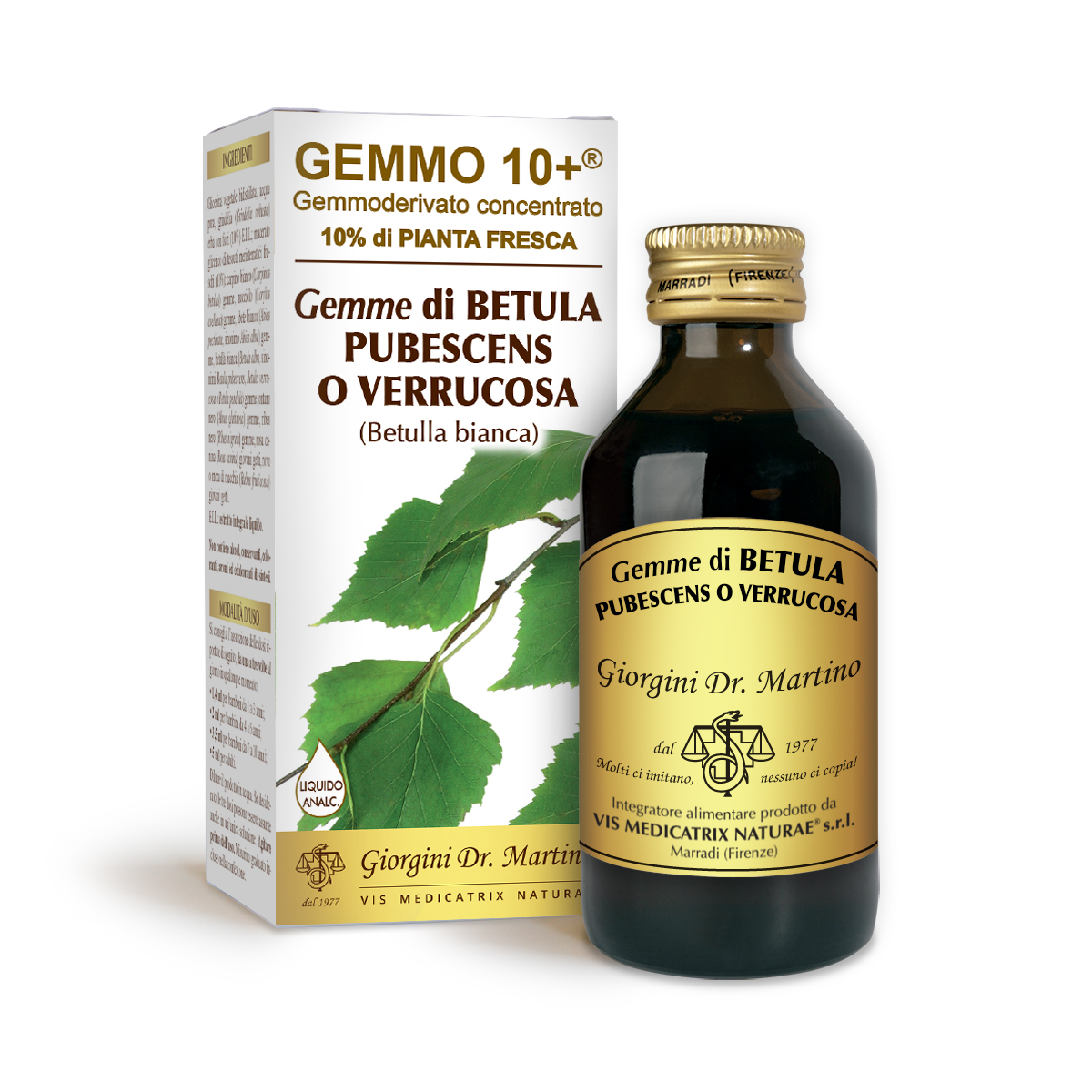 G10+ WHITE BIRCH (Betula pubescens) buds Alcohol-free liquid
