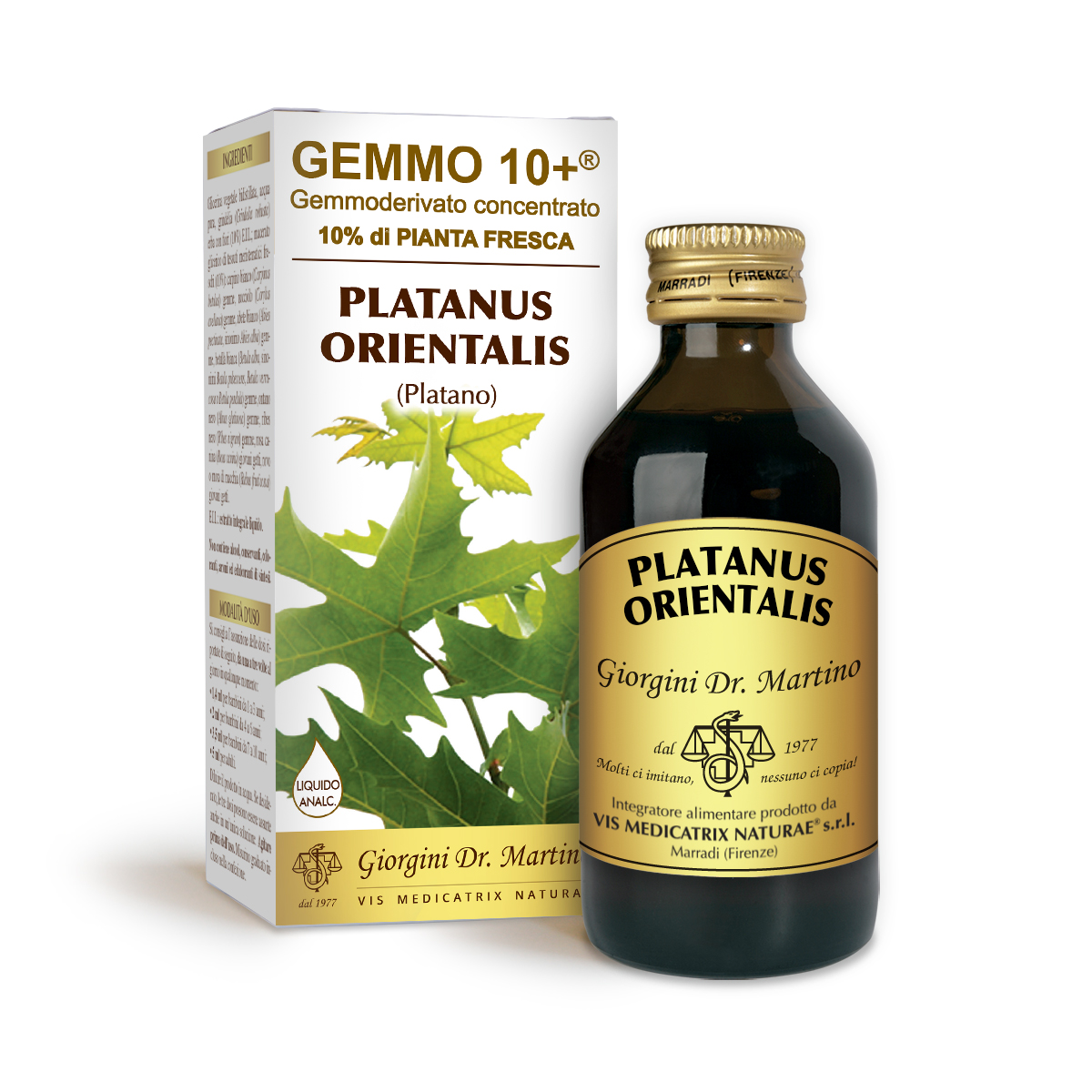 G10+ PLANE TREE (Platanus orientalis) Alcohol-free liquid