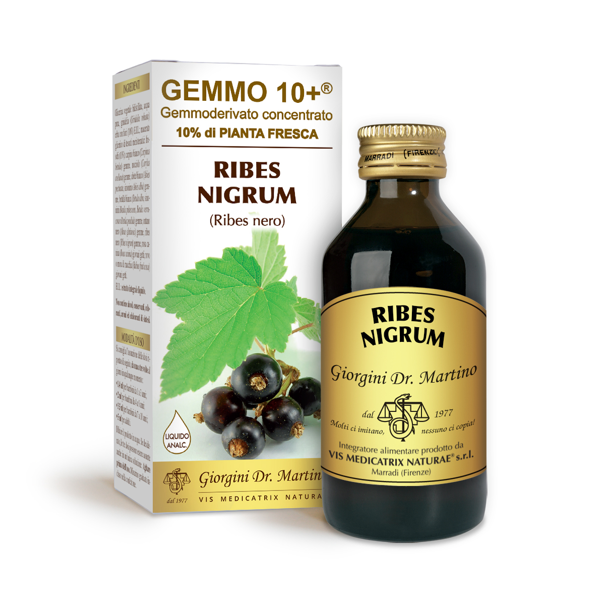 G10+ BLACKCURRANT (Ribes nigrum) Alcohol-free liquid