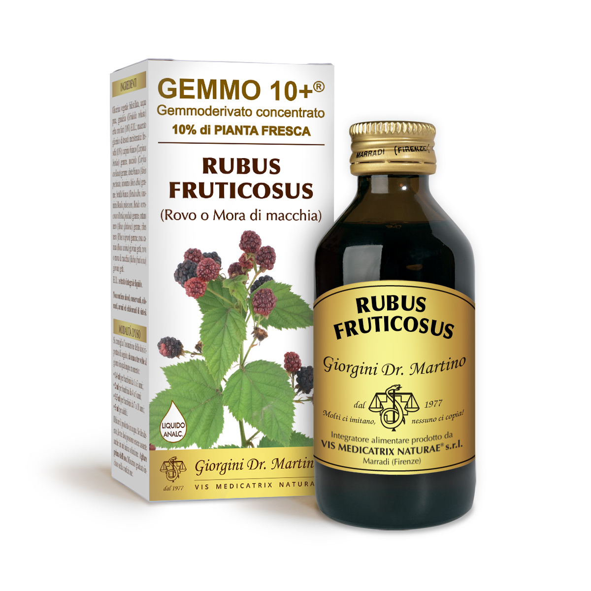 G10+ BRAMBLE (Rubus fruticosus) Alcohol-free liquid