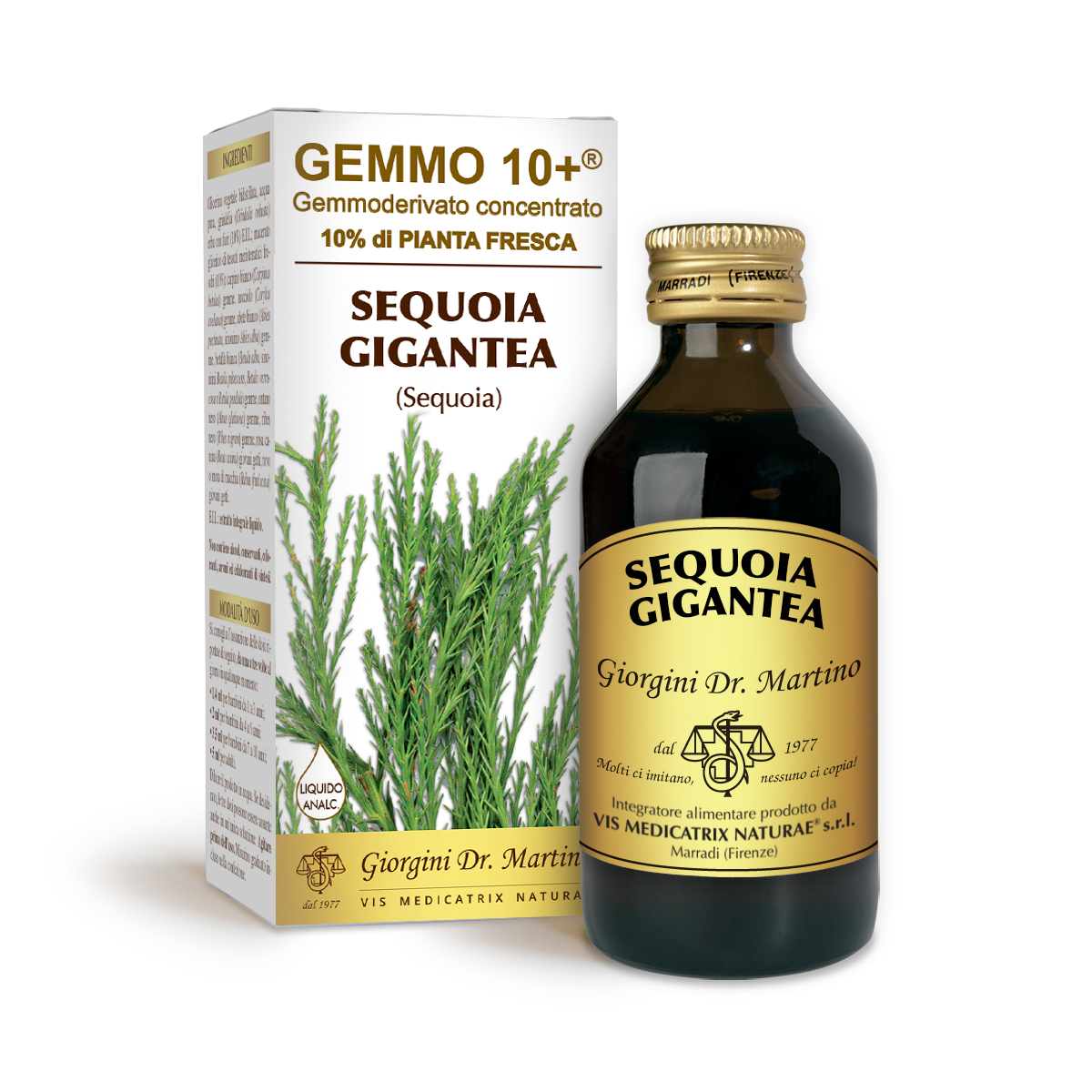 SEQUOIA G10+ (Sequoia gigantea) Liquido analcoolico