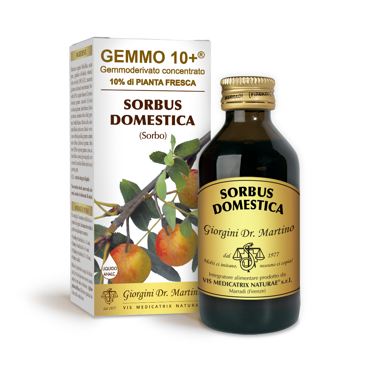SORBO DOMESTICO G10+ (Sorbus domestica) Liquido analcoolico main product photo