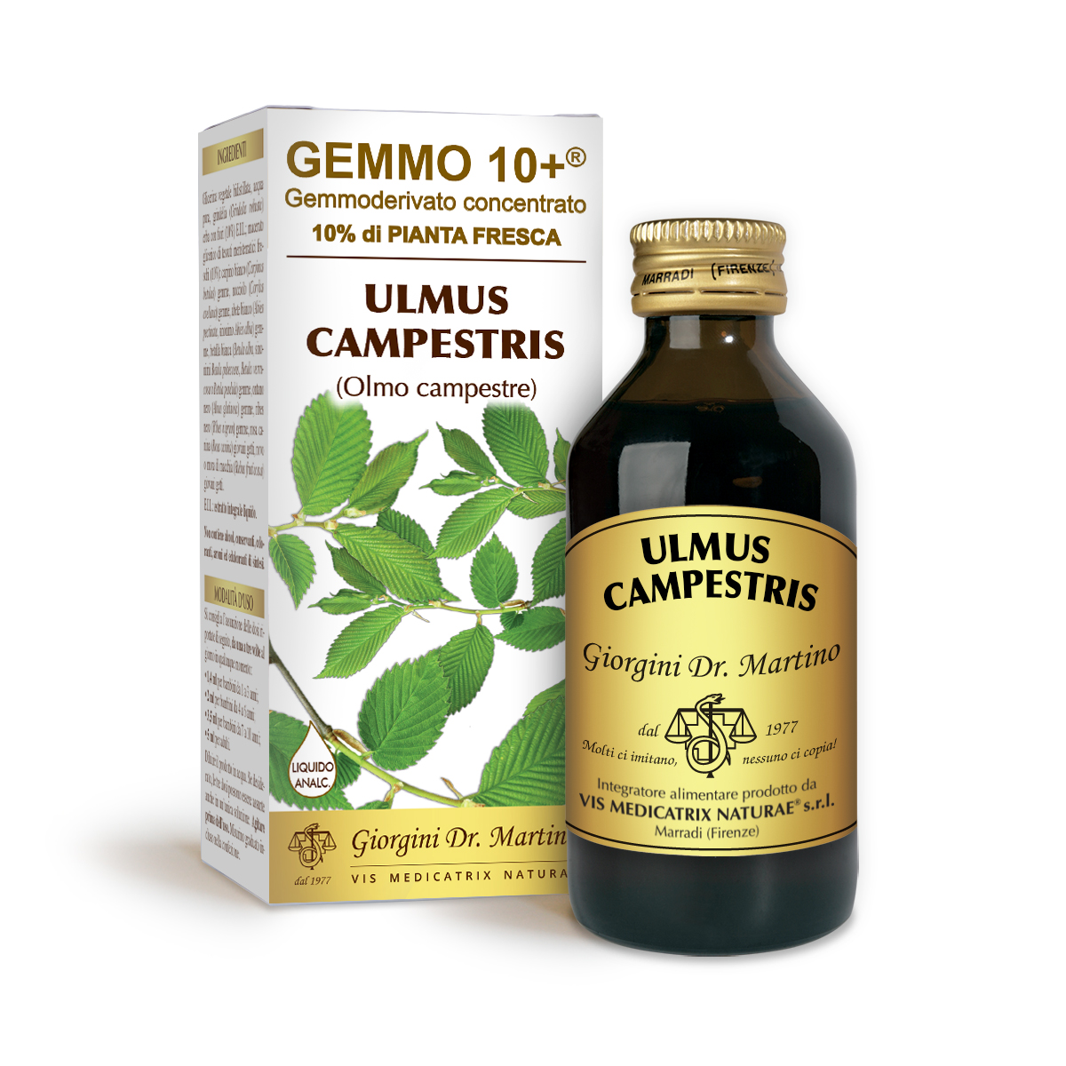 OLMO G10+ (Ulmus campestris) Liquido analcoolico main product photo